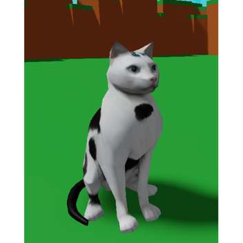 Cat Petting