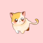 Cat geng