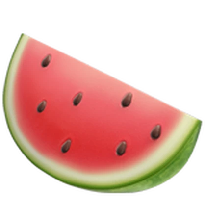 Watermeĺon Games Roblox group icon