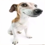N @ R U T O