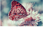 Bri's Beautiful Butterflies