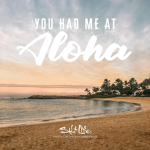 Lily's Giveaways!