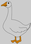 Goose the cat
