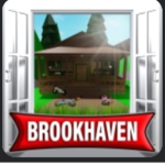 Amici e brookhaven