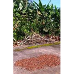 ecuadorianfarmers