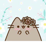 The Cute And Adorable Kitty Club