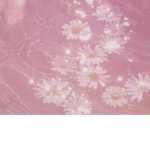 Forever Angel's