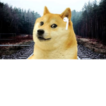 Epic doges group of might
