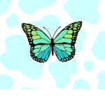 Kaitlyns Clothing & Boutique