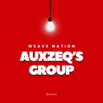 auxzeq's group