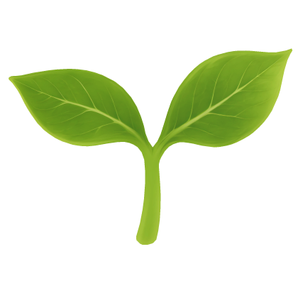 leaf sprout