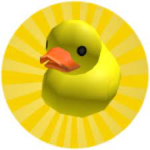 Ducks are Amazing :D