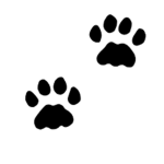 FurryPaw Studios Staff