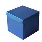 Blue Box Studios.