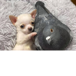 FRIEND CLUBBBB (Followers also)