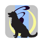 the midnight black hounds