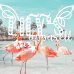 ~*~lily’s apparell~*~