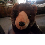 Teddy twins