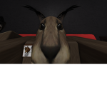 Cyber Critter Lab