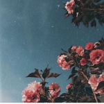 Blooming flowersss!!!!