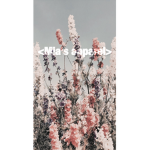 <Mia’s apparel>