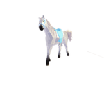 Soleil Riders