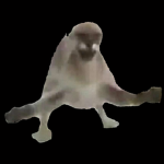 Goug Corp.