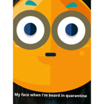 Haopy