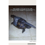 Turtle meme meme