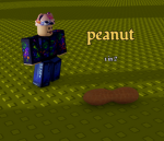 Peanut.RNG but bad