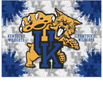 Kentucky Wildcats Fan Base [BBN]