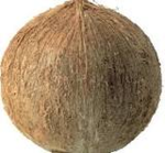 ZE COCONUT GROUP