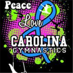 Sparkles Gymnastics Academy!