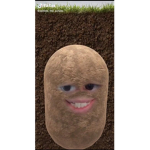 THE POTAT0 ARMY!