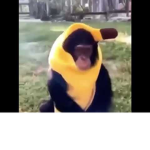 #MonkeyCommunity