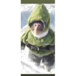 Funne monke
