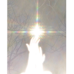.reborn
