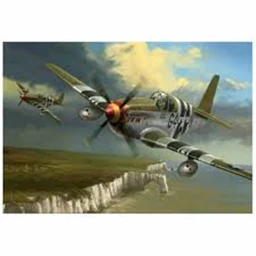 plane battle and capture the flag!! icon
