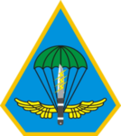 中華民國陸軍航空特戰指揮部