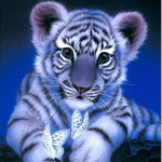 ~Tiger Gang~