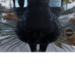 Shadowclan’s hangout of sus cats