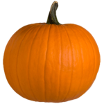 The Pumpkin Patch.