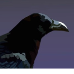 cool ravens