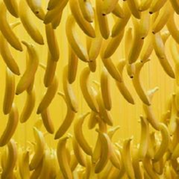 Побег От А4 Влада Бумаги