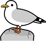 Seagulls United