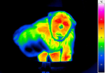 Therm Games
