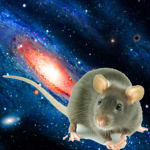 Rato Do Espaço