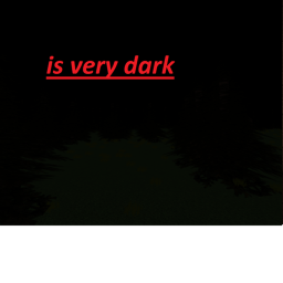 Inside the forest