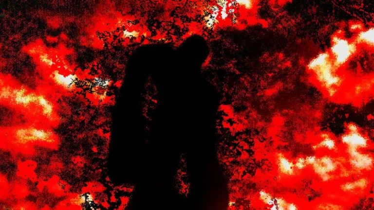 The Flowers פרחים