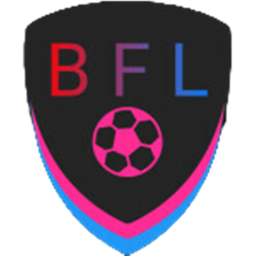 {BFL} MATCH PITCH 2